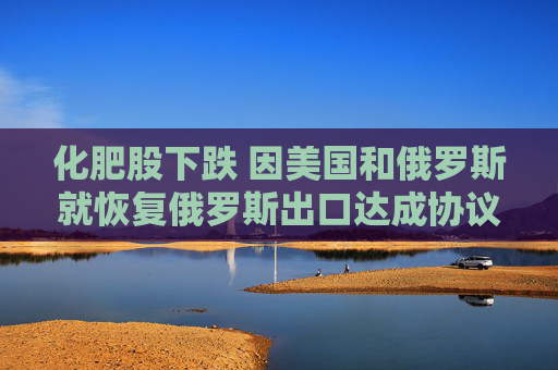 化肥股下跌 因美国和俄罗斯就恢复俄罗斯出口达成协议  第1张