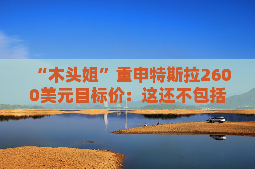 “木头姐”重申特斯拉2600美元目标价:这还不包括擎天柱机器人