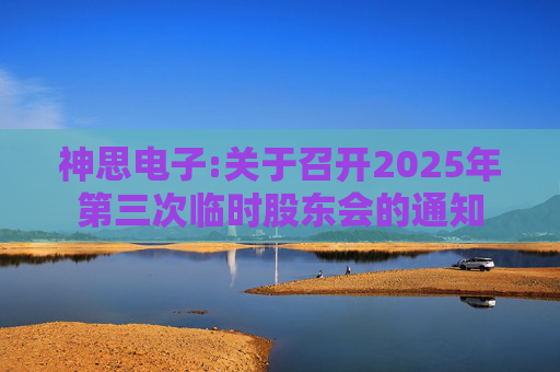 神思电子:关于召开2025年第三次临时股东会的通知