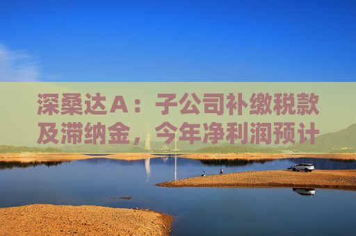 深桑达A:子公司补缴税款及滞纳金,今年净利润预计减少约5736万元