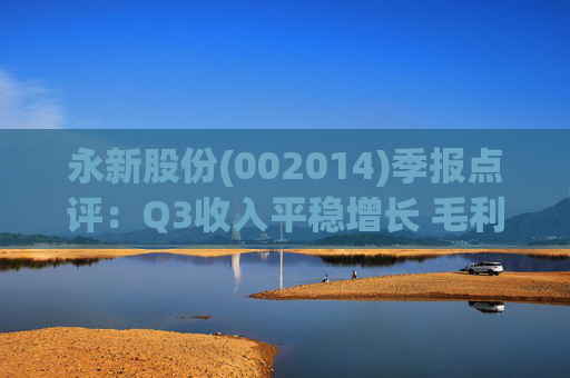 永新股份(002014)季报点评：Q3收入平稳增长 毛利率企稳回升