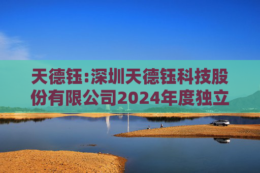 天德钰:深圳天德钰科技股份有限公司2024年度独立董事述职报告（韩建春）