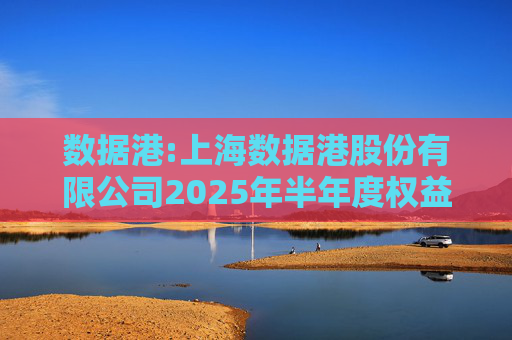 数据港:上海数据港股份有限公司2025年半年度权益分派实施公告