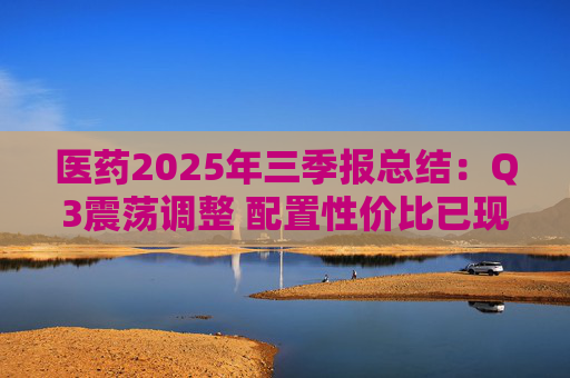 医药2025年三季报总结:Q3震荡调整 配置性价比已现