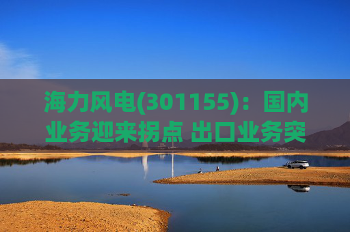 海力风电(301155)：国内业务迎来拐点 出口业务突破可期