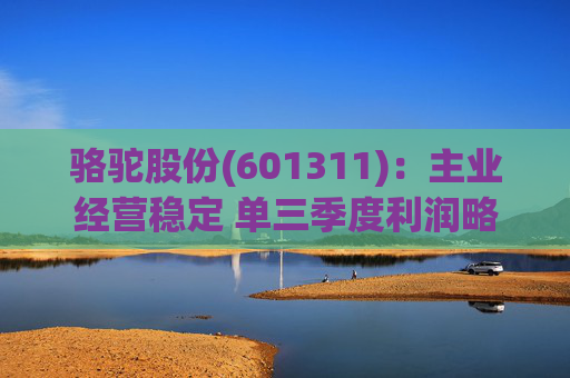 骆驼股份(601311):主业经营稳定 单三季度利润略承压 第1张 骆驼股份(601311):主业经营稳定 单三季度利润略承压 第1张