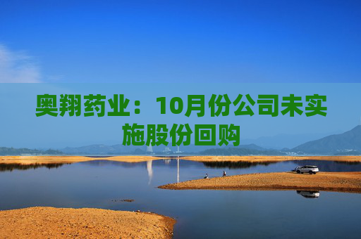 奥翔药业:10月份公司未实施股份回购