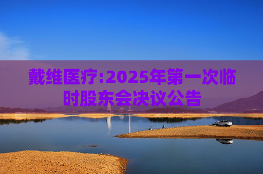戴维医疗:2025年第一次临时股东会决议公告