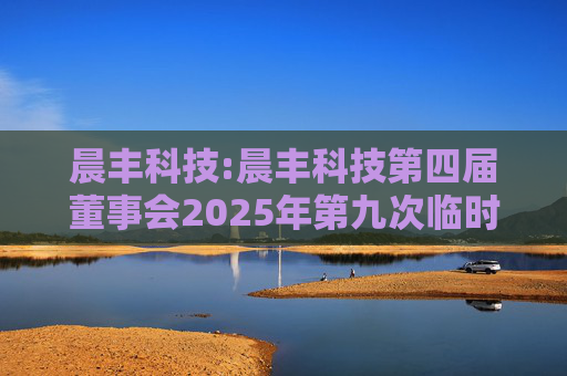 晨丰科技:晨丰科技第四届董事会2025年第九次临时会议决议公告