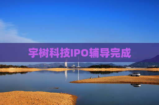 宇树科技IPO辅导完成