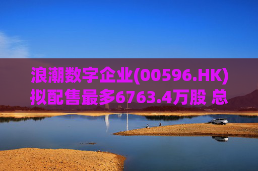 浪潮数字企业(00596.HK)拟配售最多6763.4万股 总筹4.94亿港元