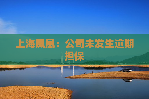 上海凤凰：公司未发生逾期担保