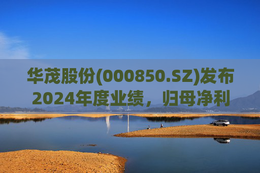 华茂股份(000850.SZ)发布2024年度业绩，归母净利润2.87亿元，同比增长107.41%  第1张