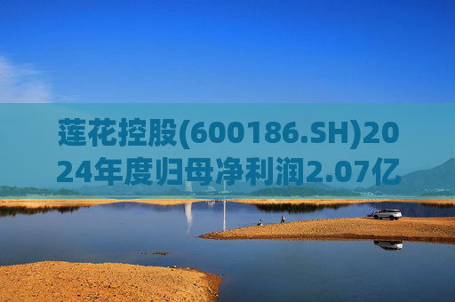 莲花控股(600186.SH)2024年度归母净利润2.07亿元 同比增长59.12%