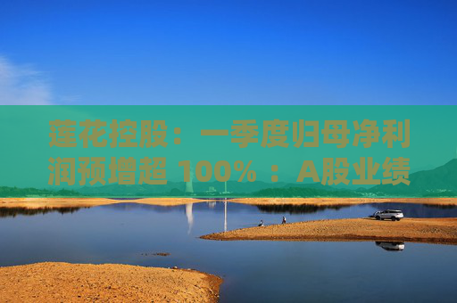 莲花控股：一季度归母净利润预增超 100% ：A股业绩亮眼