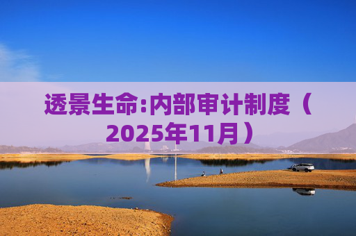 透景生命:内部审计制度（2025年11月）