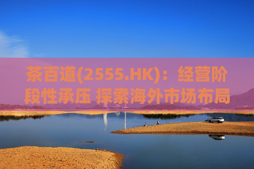 茶百道(2555.HK)：经营阶段性承压 探索海外市场布局  第1张