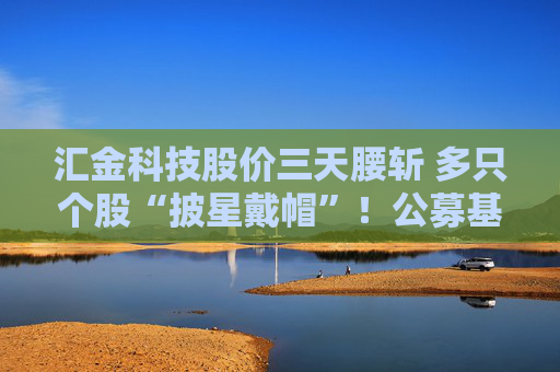 汇金科技股价三天腰斩 多只个股“披星戴帽”！公募基金如何“避雷”？