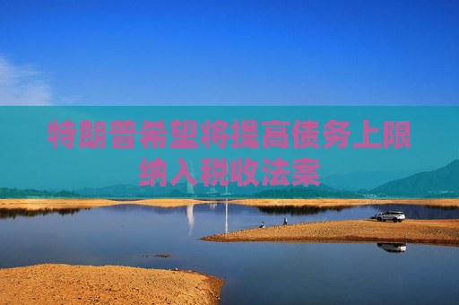 特朗普希望将提高债务上限纳入税收法案  第1张