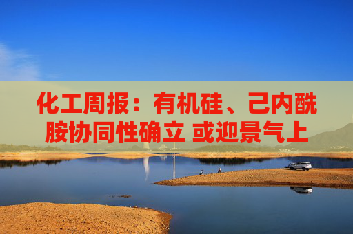 化工周报:有机硅、己内酰胺协同性确立 或迎景气上行 反内卷加速化工拐点来临