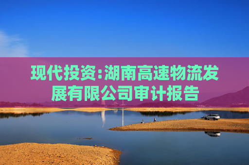 现代投资:湖南高速物流发展有限公司审计报告