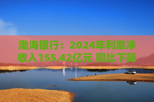 渤海银行：2024年利息净收入155.42亿元 同比下降11.92%  第1张