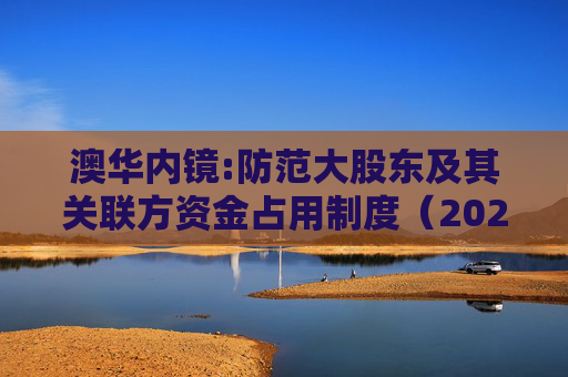 澳华内镜:防范大股东及其关联方资金占用制度(2025年11月)