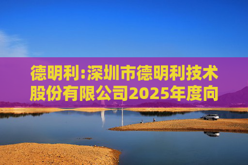 德明利:深圳市德明利技术股份有限公司2025年度向特定对象发行股票方案的论证分析报告