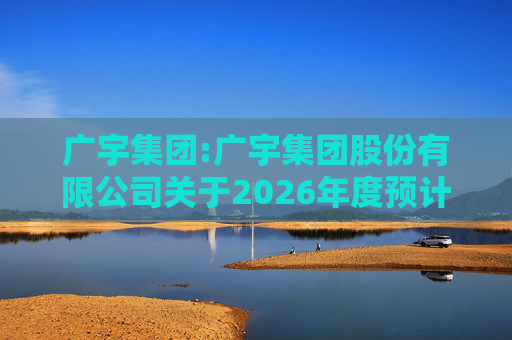 广宇集团:广宇集团股份有限公司关于2026年度预计新增担保的公告
