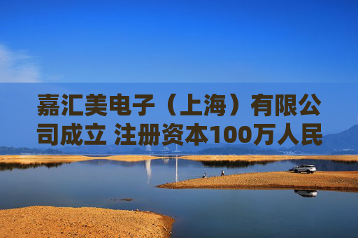 嘉汇美电子(上海)有限公司成立 注册资本100万人民币