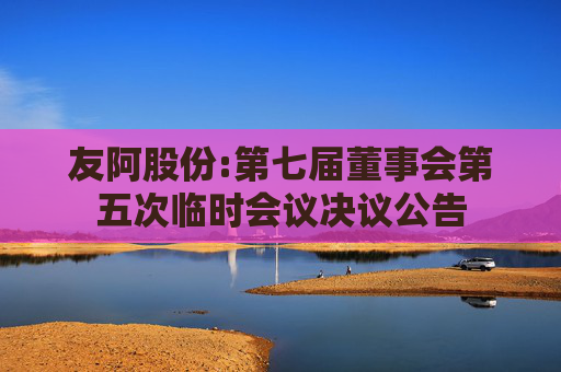友阿股份:第七届董事会第五次临时会议决议公告