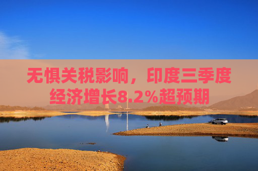 无惧关税影响,印度三季度经济增长8.2%超预期