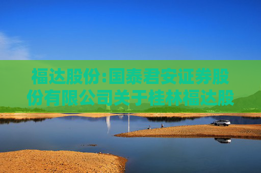 福达股份:国泰君安证券股份有限公司关于桂林福达股份有限公司2024年度募集资金年度存放与使用情况的专项核查意见  第1张