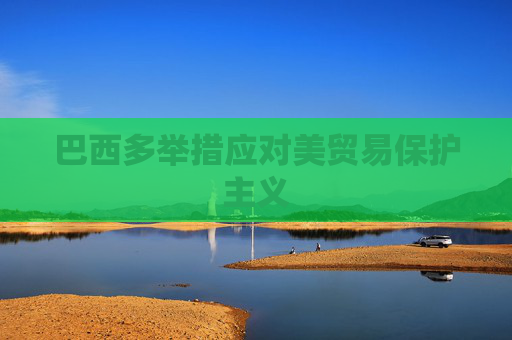 巴西多举措应对美贸易保护主义  第1张