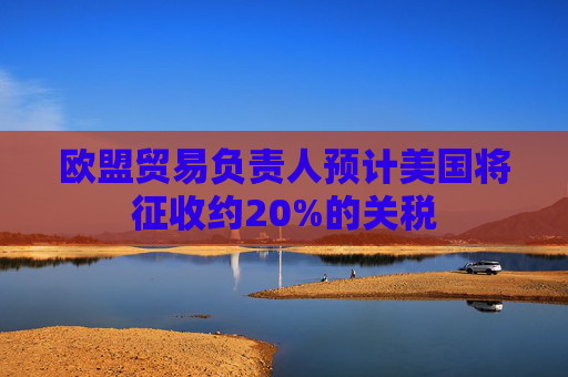 欧盟贸易负责人预计美国将征收约20%的关税  第1张