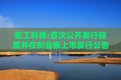 宏工科技:首次公开发行股票并在创业板上市发行公告