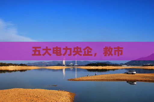 五大电力央企，救市