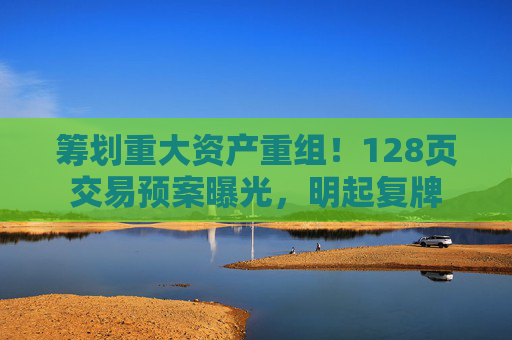 筹划重大资产重组!128页交易预案曝光,明起复牌