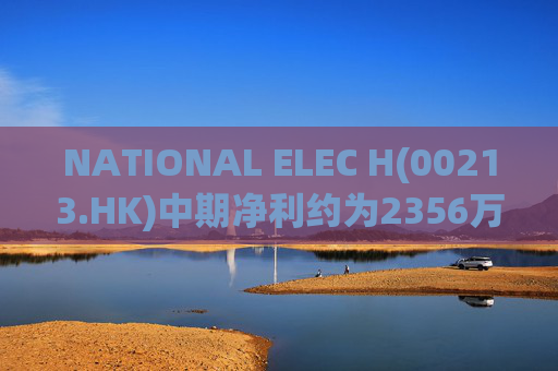 NATIONAL ELEC H(00213.HK)中期净利约为2356万港元 同比增长约10.40%