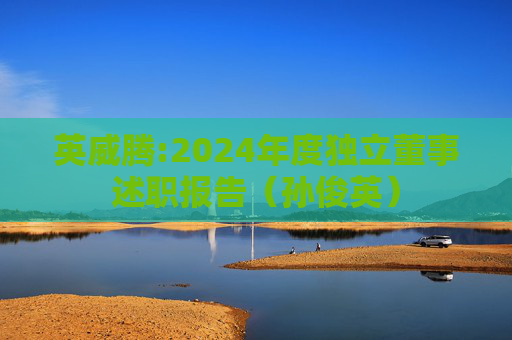 英威腾:2024年度独立董事述职报告（孙俊英）  第1张