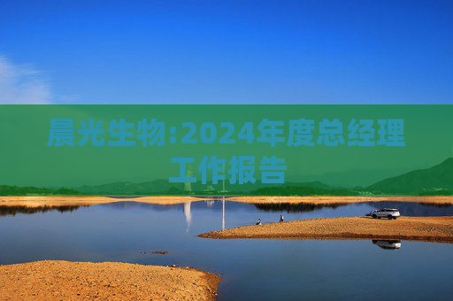 晨光生物:2024年度总经理工作报告  第1张