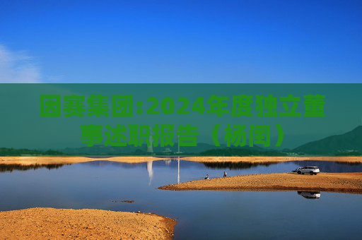 因赛集团:2024年度独立董事述职报告（杨闰）  第1张