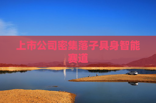 上市公司密集落子具身智能赛道  第1张