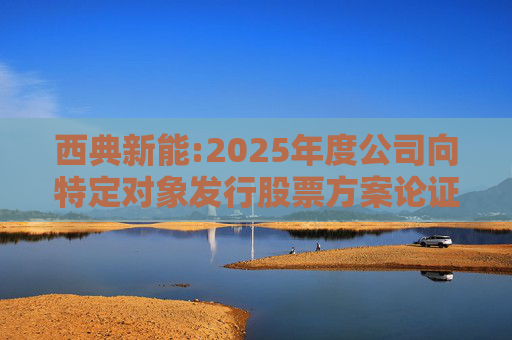 西典新能:2025年度公司向特定对象发行股票方案论证分析报告