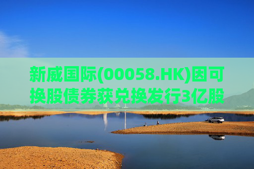 新威国际(00058.HK)因可换股债券获兑换发行3亿股