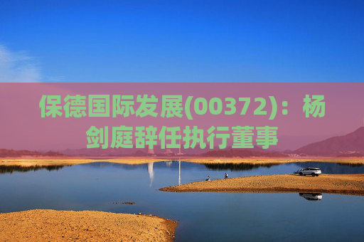 保德国际发展(00372):杨剑庭辞任执行董事