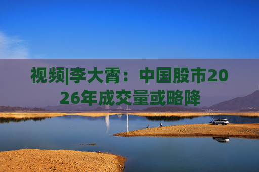 视频|李大霄:中国股市2026年成交量或略降