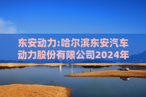 东安动力:哈尔滨东安汽车动力股份有限公司2024年度独立董事述职报告-史景明  第1张
