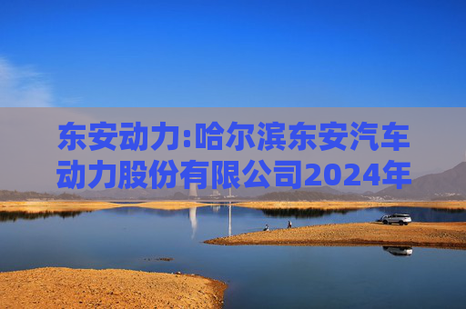 东安动力:哈尔滨东安汽车动力股份有限公司2024年度独立董事述职报告-韩东平