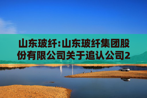 山东玻纤:山东玻纤集团股份有限公司关于追认公司2024年度关联交易及预计2025年度日常关联交易的公告